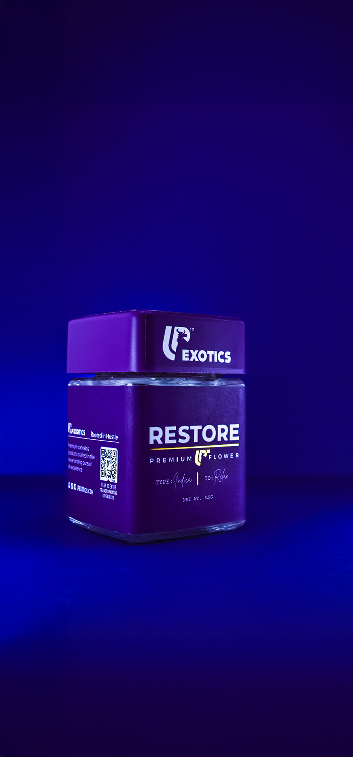 Purple LP Restore flower jar