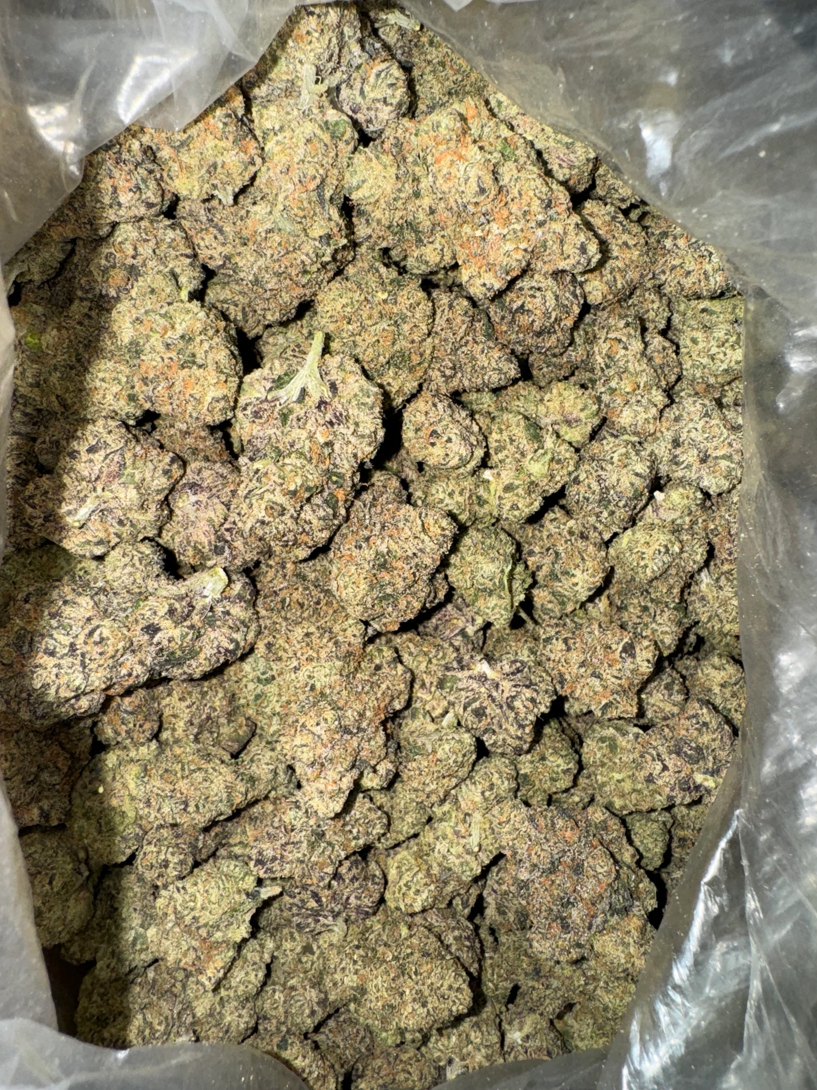 A close look at full flower buds, with purple and green leaves and orange hairs