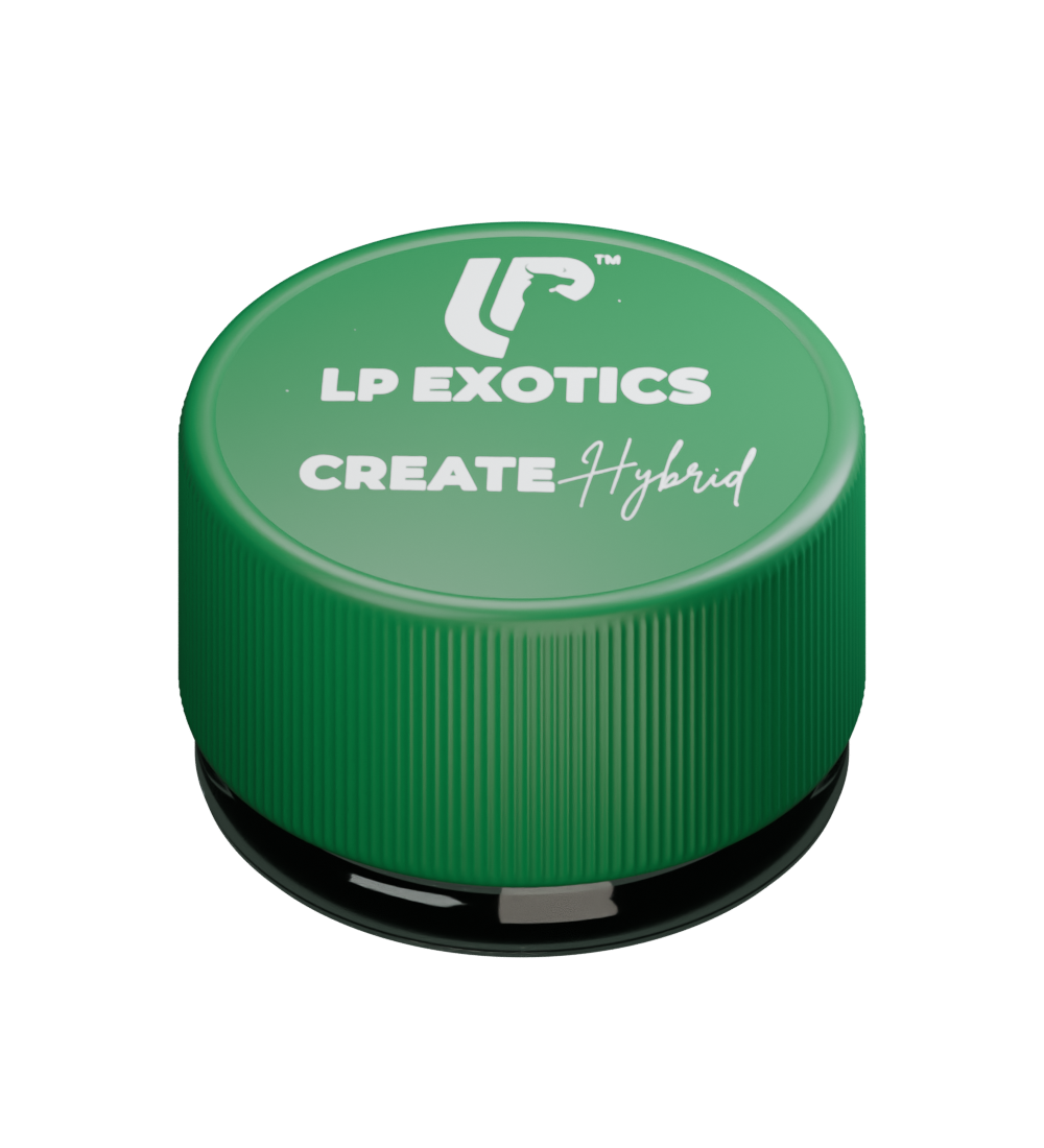Closed LP Create jar with a deep green screw cap and clear glass base